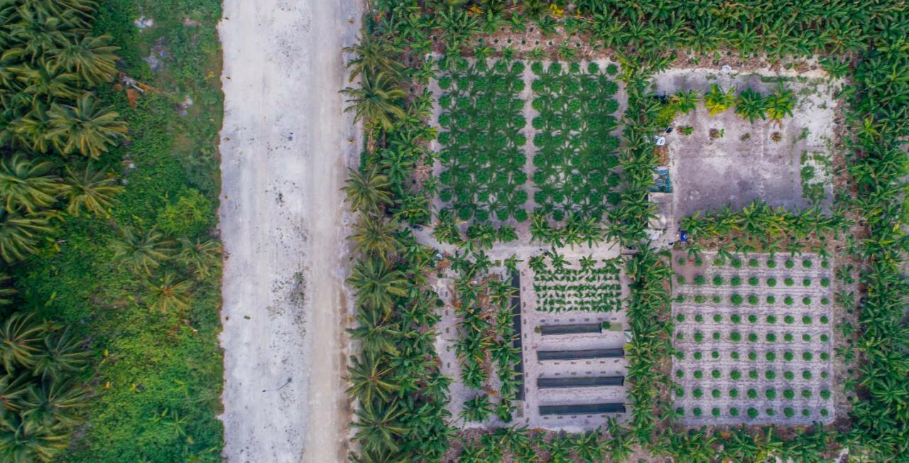 Sunview * Kaashidhoo