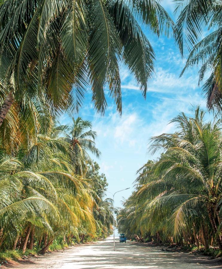 Sunview Pensión Kaashidhoo
