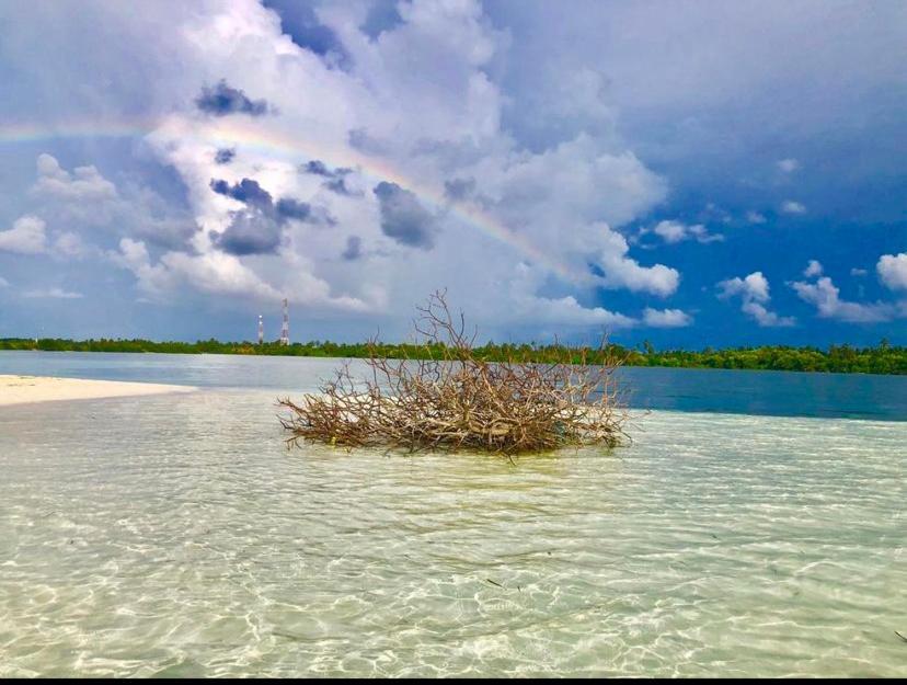 Sunview * Kaashidhoo